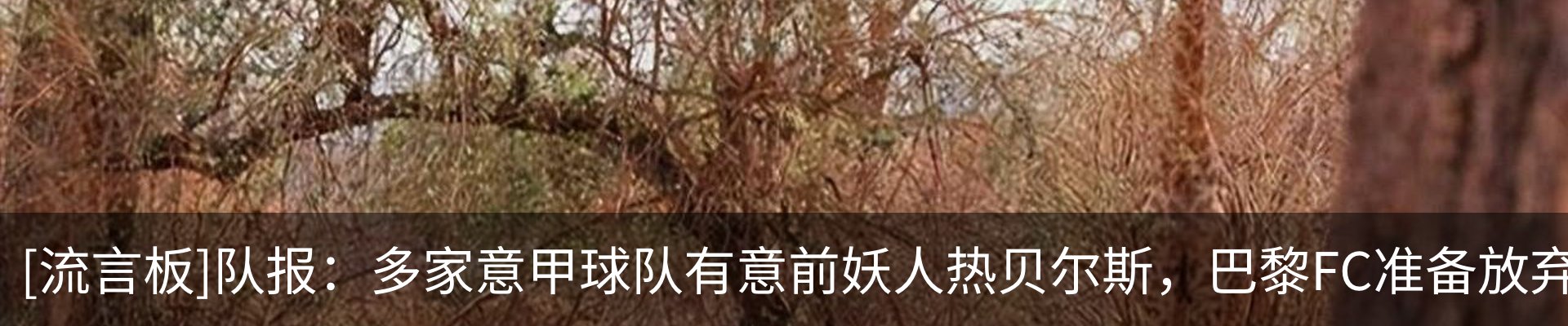 资讯中心